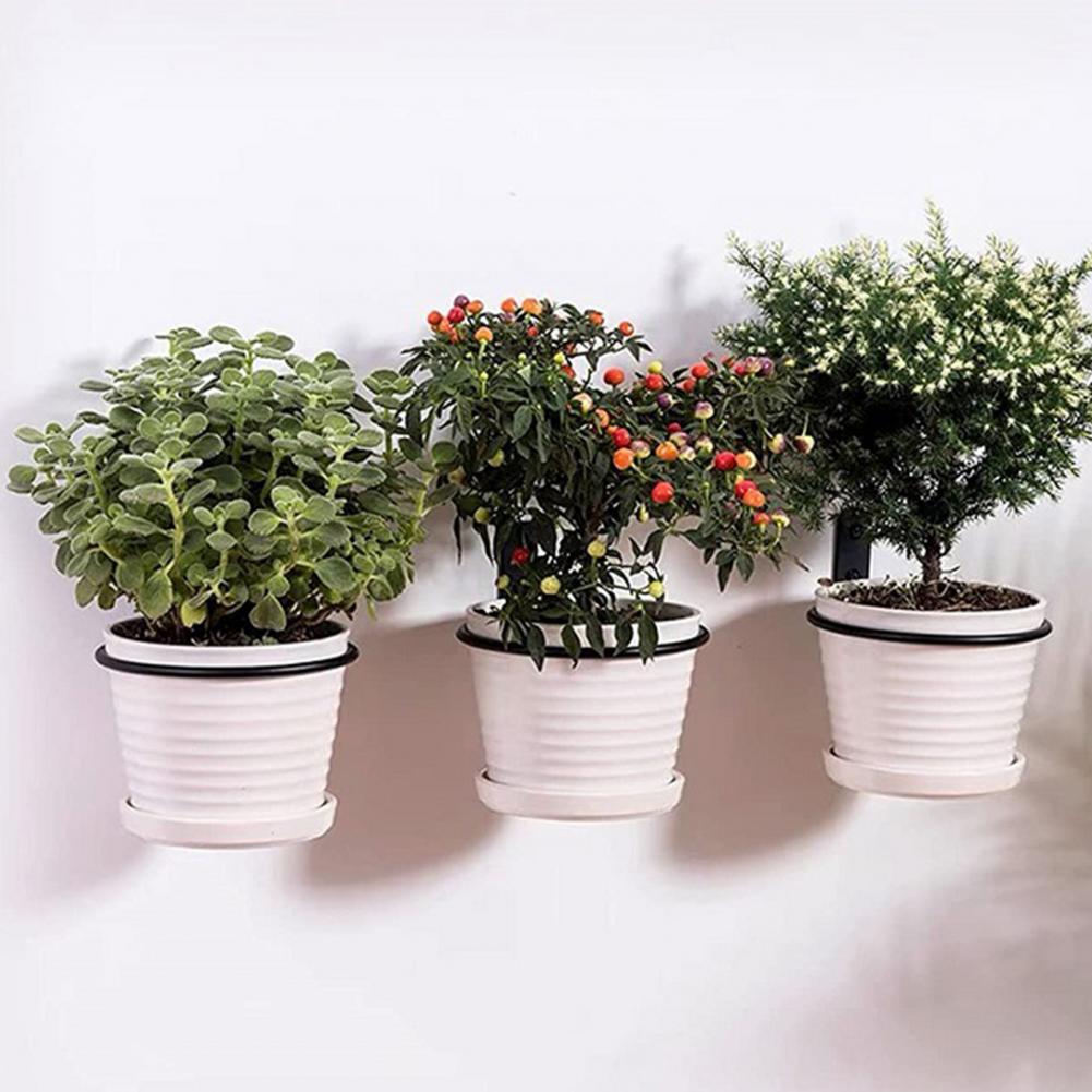 4/5/6/8 Polegadas Flowerpot Me - Screw Organizer Kit avaliação e preço