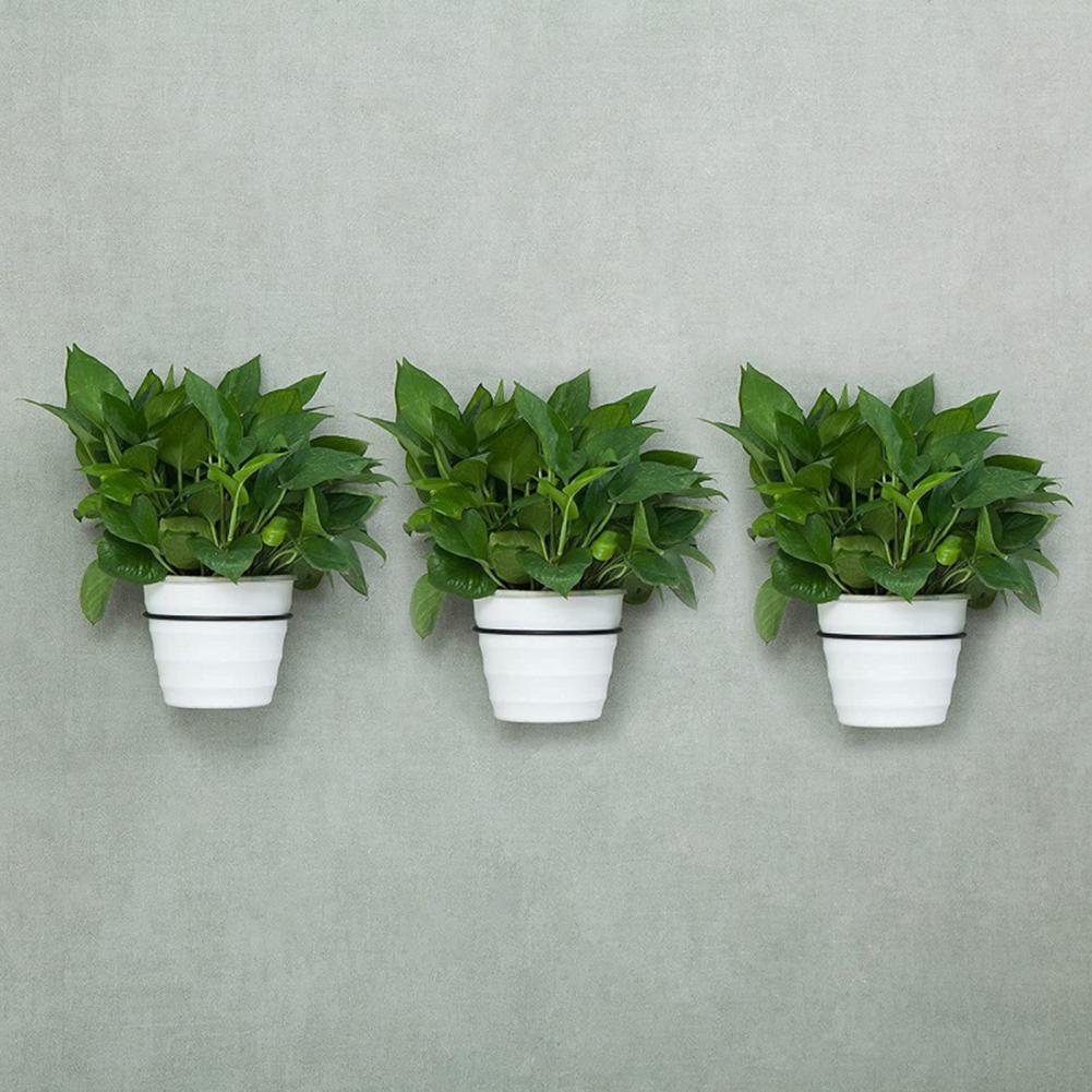 4/5/6/8 Polegadas Flowerpot Me - Screw Organizer Kit avaliação e preço